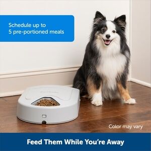 Automatic Pet Feeder 5 Meal Scheduler Dog Or Cat Petsafe